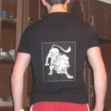 Работа «Львенок на футболке! Мужская»