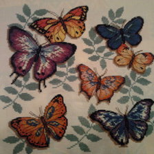 Работа «Чудные бабочки»