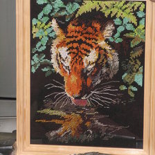 Работа «Tiger Reflection»