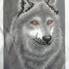 Работа «Портрет волка»