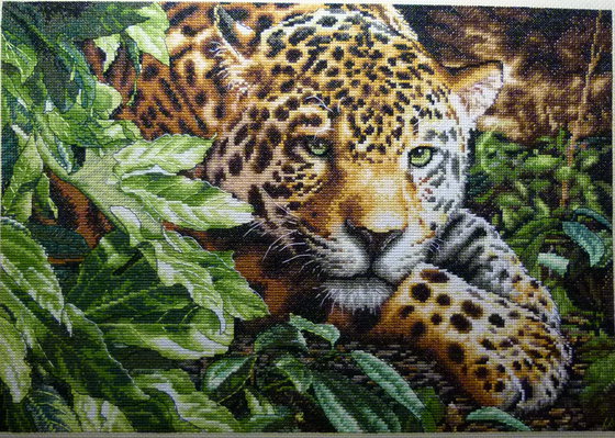 Работа «Леопард на отдыхе»