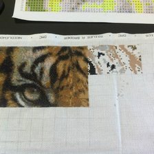 Работа «Моя первя работа =) Тигр»