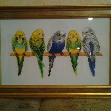 Работа «Волнистые попугаи(бисером)»