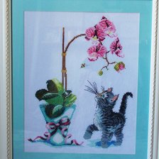 Работа «Орхидея и котенок»