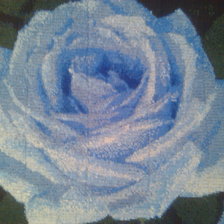 Работа «голубая роза»