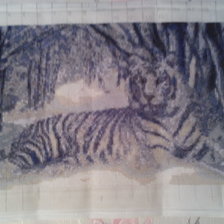 Работа «Тигр в зимнем лесу»