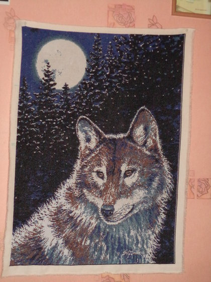 Работа «"волк и луна"»