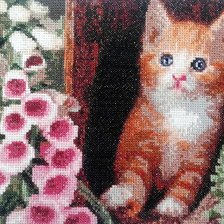 Работа «Рыжий котенок с цветами.»