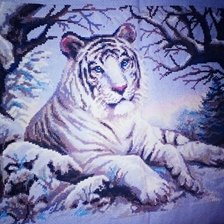 Работа «Бенгальский тигр»