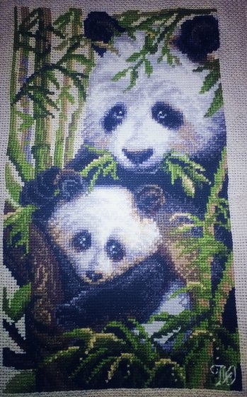 Работа «Панда с детенышем»