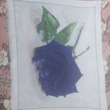 Работа «синяя роза на снегу»