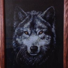 Работа «Взгляд волка»
