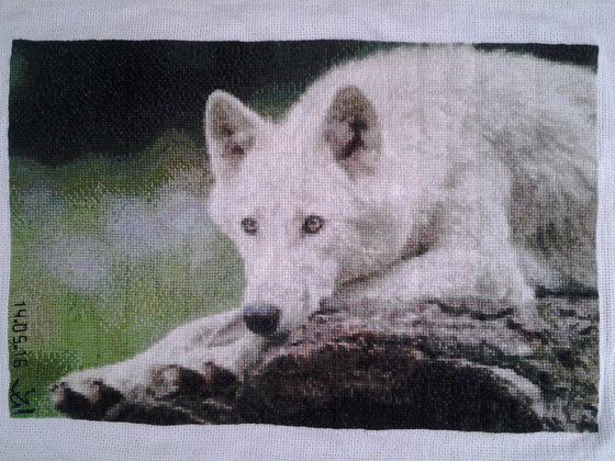 Работа «Белый волк»