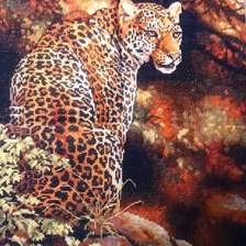 Работа «Взгляд леопарда»