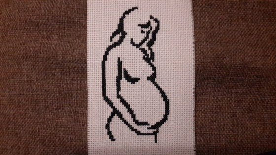 Работа «Образ беременной девушки»