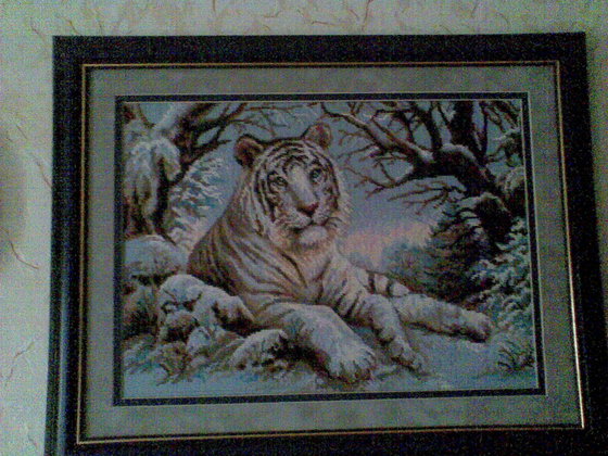 Работа «Бенгальский тигр»