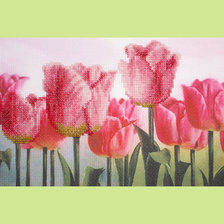 Работа «Розовые тюльпаны»