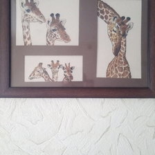 Работа «просто жирафи»