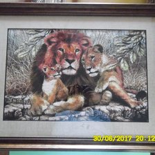 Работа «семейство львов»