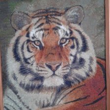 Работа «Красавец тигр»