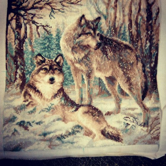 Работа «Волчья пара от Риолис»