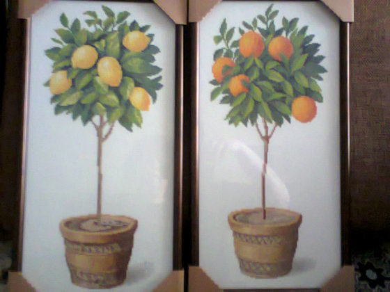 Работа «Лимонное и апельсиновое деревья.»