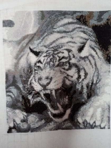 Работа «яростный тигр»