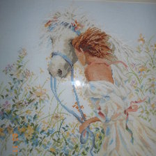 Работа «девушка и лошадь»