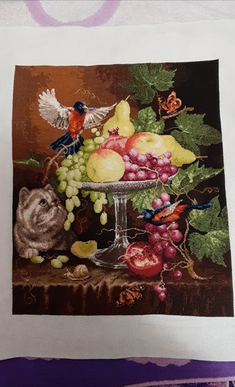 Работа «Кот с фруктами "золотое руно"»