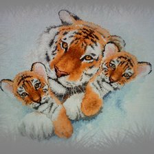 Работа «Уссурийские тигры»