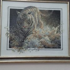 Работа «Этот тигр удивительный, он с любого ракурса смотрит тебе в глаза»
