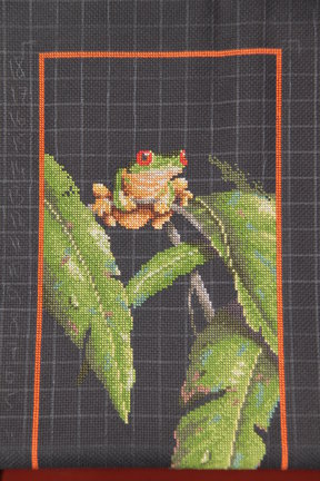 Древесная лягушка на листьях №43851