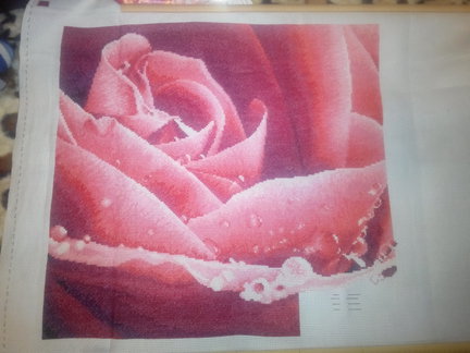 Роза Cross Stitch AH. AH 010798. №62257