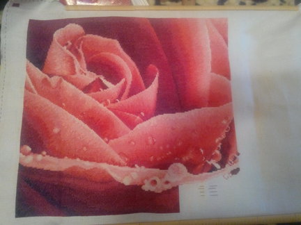 Роза Cross Stitch AH. AH 010798. №62258