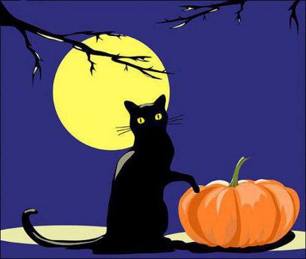 Чёрный кот и полная луна №99328