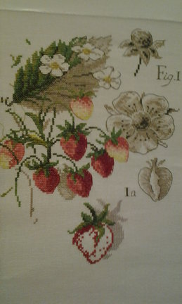 «Ботанические этюды» от Veronique Enginger №102240