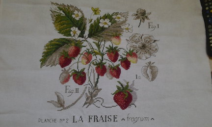 «Ботанические этюды» от Veronique Enginger №102892
