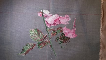 Розовый шиповник от Теи Гувенер №146059