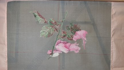 Розовый шиповник от Теи Гувенер №146060