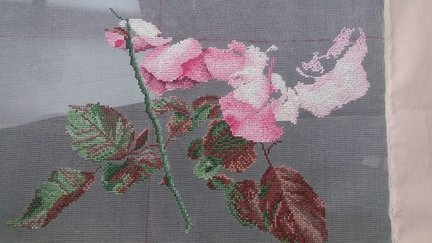 Розовый шиповник от Теи Гувенер №146590