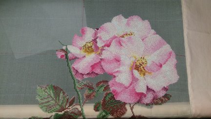 Розовый шиповник от Теи Гувенер №147052