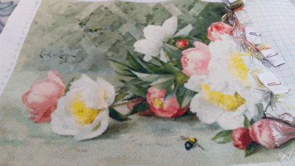 ГК Панелька цветов, а также Химера и многое другое №164022