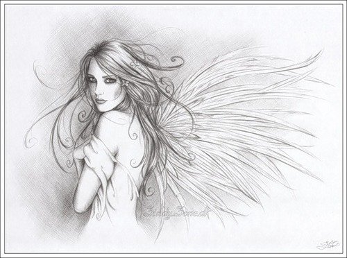 Девушка с крыльями - девушка, крылья - оригинал