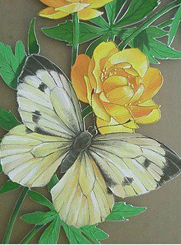 Бабочка и лютик - цветы и бабочки, бабочка, природа, цветочек, цветок, лютик - оригинал