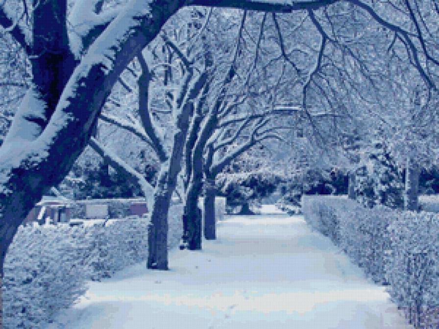 Красивая зима!) - зима, зимний лес, winter, деревья, снег, лес - предпросмотр