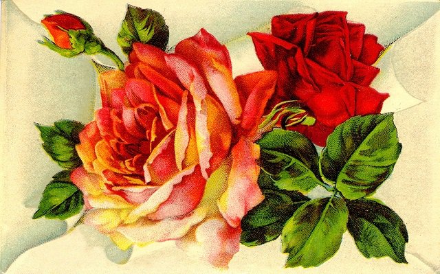 Розы - розы, письмо, винтаж, ретро, роза, цветы - оригинал