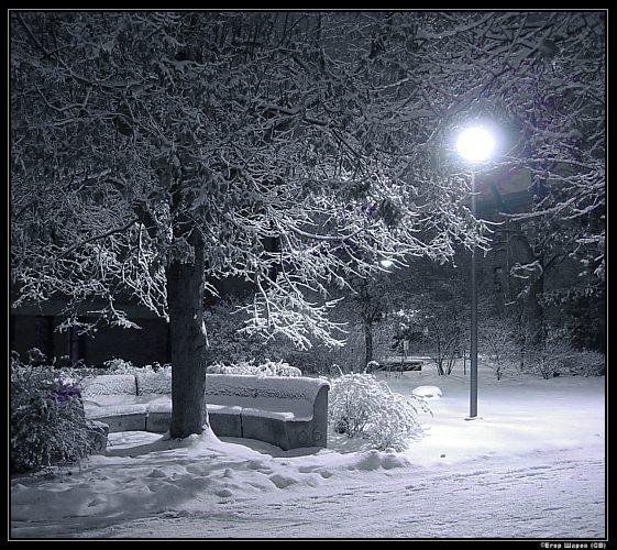 Зимняя ночь с освещением фонаря) - снег, ночь, зима, романтика - оригинал