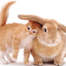 Оригинал схемы вышивки «Друзья кролик и котёнок)))» (№727)