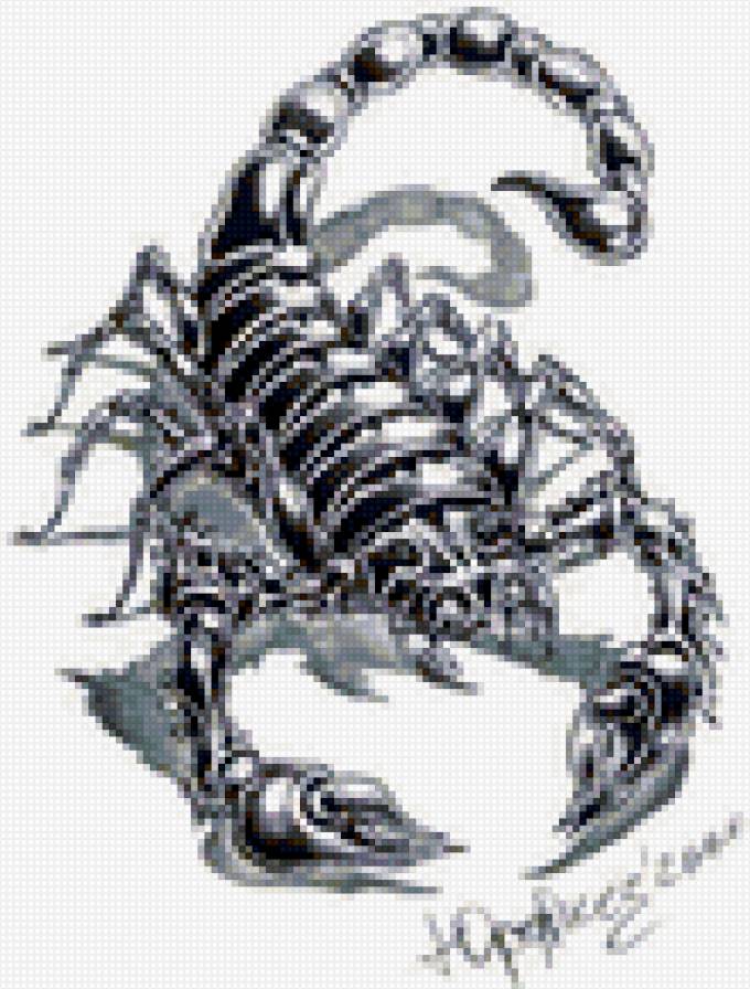 скорпион - картинка, знаки зодиака - предпросмотр