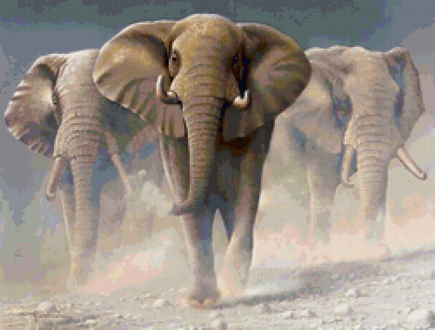 Три слона - слон, животное - предпросмотр